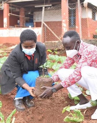 Starehe supports the the environment